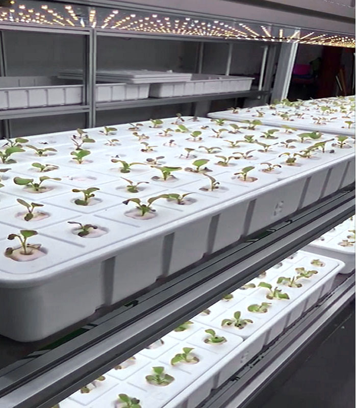 ���������P